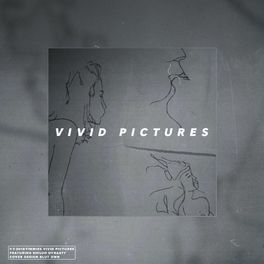 Album cover of Vivid Pictures
