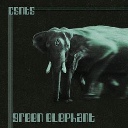Album cover of green elephant