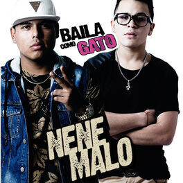 Album cover of Baila Como Gato