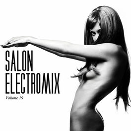 Album cover of Salon Electromix, Vol. 19
