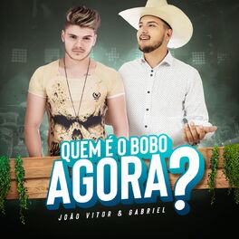 Album cover of Quem É Bobo Agora?
