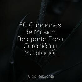 Album cover of 50 Canciones de Música Relajante Para Curación y Meditación