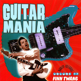 Album cover of Guitar Mania 17