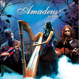 Album cover of Trio Amadeus ao Vivo