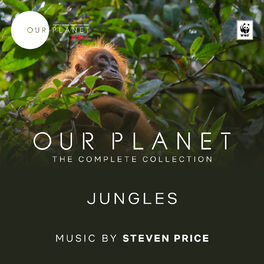 Album cover of Jungles (Episode 3 / Soundtrack From The Netflix Original Series 