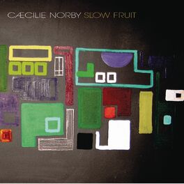 Album cover of Slow Fruit