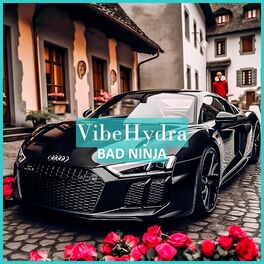 Album cover of VibeHydra