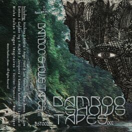 Album cover of Bamboo Shows Tapes 002