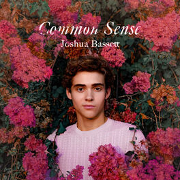 Album cover of Common Sense