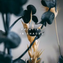 Album cover of Painting In Shades