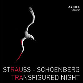 Album cover of Strauss & Schoenberg: Transfigured Night