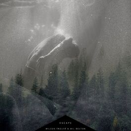 Album cover of Escape
