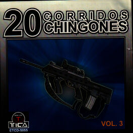 Album cover of 20 Corridos Chingones vol.3