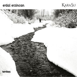 Album cover of Karasu