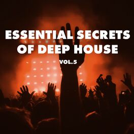 Album cover of Essential Secrets of Deep House, Vol 5