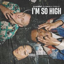 Album cover of I'm So High (feat. Tamera & Toddla T)
