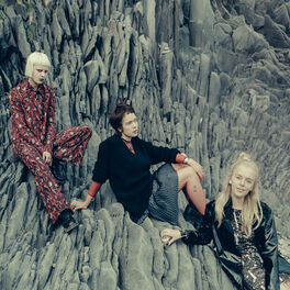 Album cover of Fire (Remixes)
