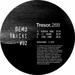 Album cover of Demo Tracks #02