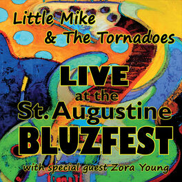 Album cover of Live At the St. Augustine Bluzfest