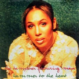 Album cover of Hammer to the Heart
