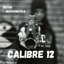 Album cover of Calibre 12
