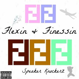 Album cover of Flexin & Finessin