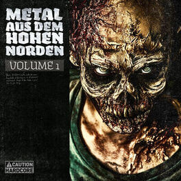 Album cover of Metal Aus Dem Hohen Norden, Vol. 1