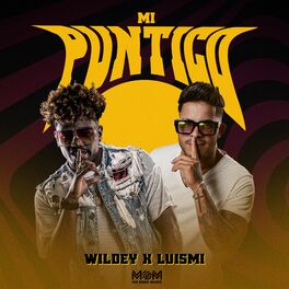 Album cover of Mi Puntico