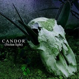 Album cover of Candor (Stolen light)