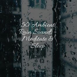 Album cover of 50 Ambient Rain Sounds - Meditate & Sleep