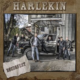 Album cover of Bøgdafest