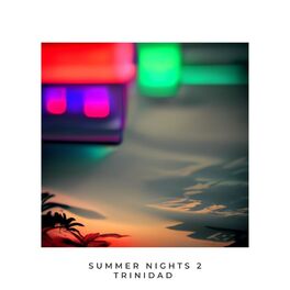 Album cover of Summer Nights 2