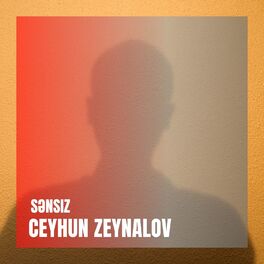 Album cover of Sənsiz