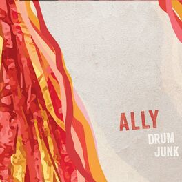 Album cover of Drum Junk