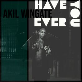 Album cover of Have You Ever