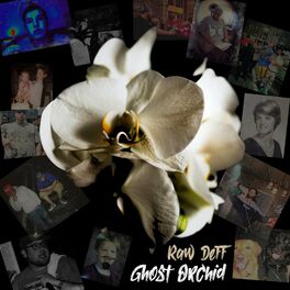 Album cover of Ghost Orchid