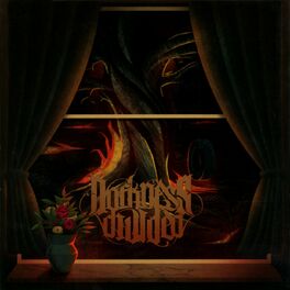 Album cover of Darkness Divided