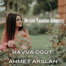 Album cover of Nesine Yandım Bilmem