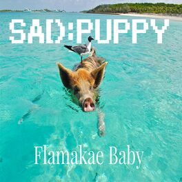 Album cover of Flamakae Baby