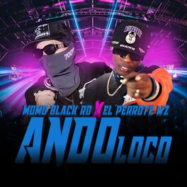 Album cover of Ando Loco
