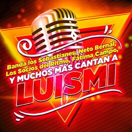 Album cover of Luismi El Tributo