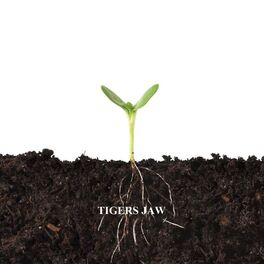 Album cover of Balance and Composure & Tigers Jaw Split