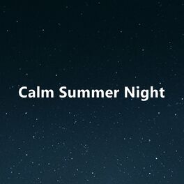 Album cover of Calm Summer Night
