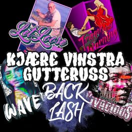 Album cover of Kjære Vinstra Gutteruss
