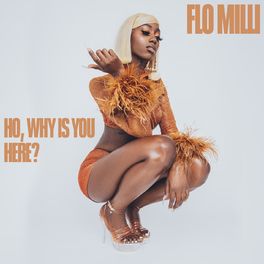 Album cover of Ho, why is you here ?