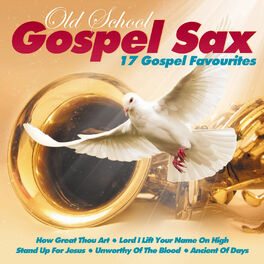 Album cover of 17 Gospel Favourites
