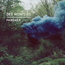 Album cover of Pangaea