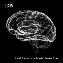 Album picture of Melody Processing in the Secondary Auditory Cortex