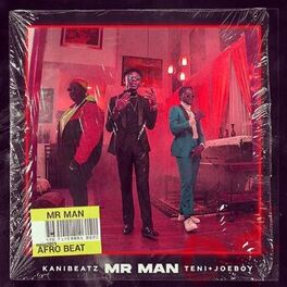 Album cover of Mr Man