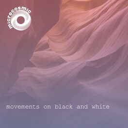Album cover of Movements On Black And White